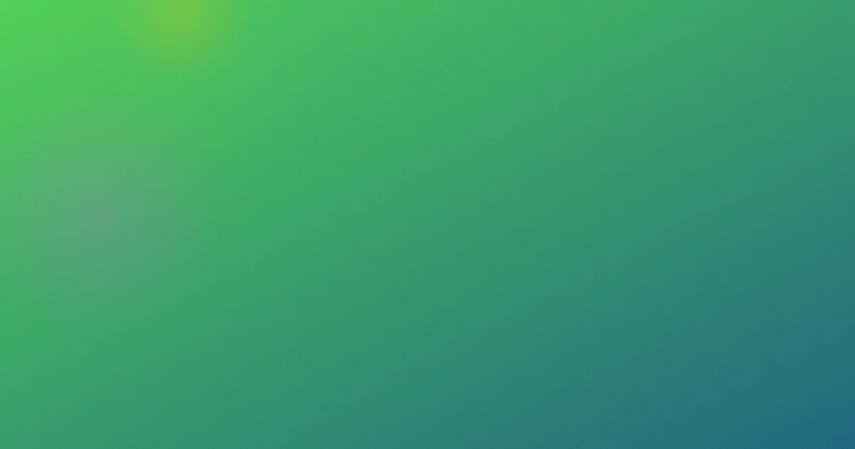 白夜凛音避坑深度解析